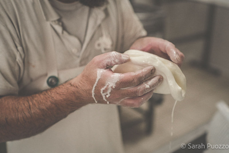 Kaasmaker die burrata maakt