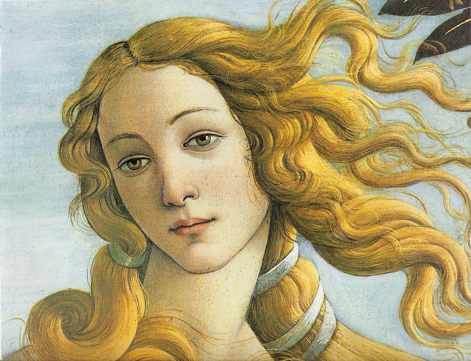 Simonetta Vespucci als inspiratie voor Botticelli's Geboorte van Venus - Italiaanse Renaissance kunst